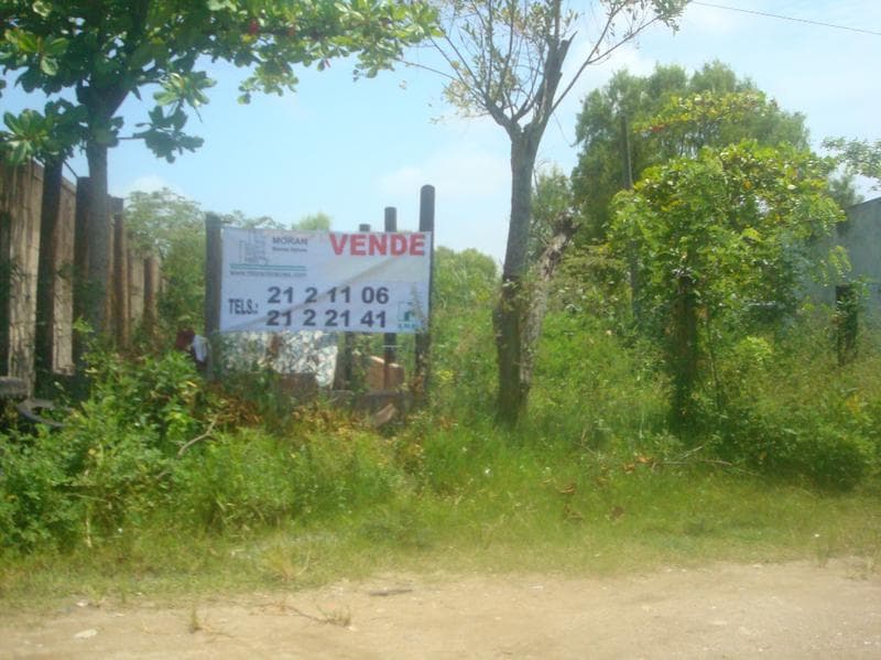 Land for Sale Outside Coatzacoalcos