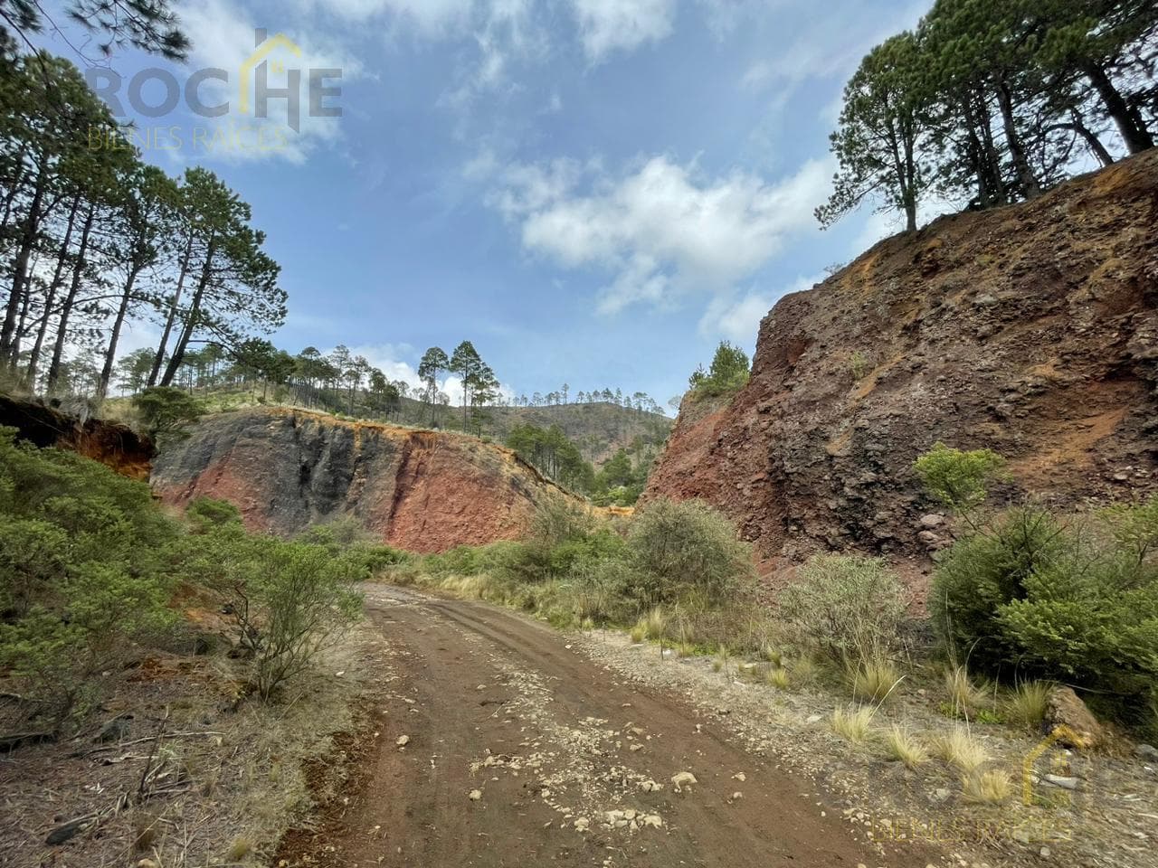 Land for sale in Las Vigas, Cerro Colorado area