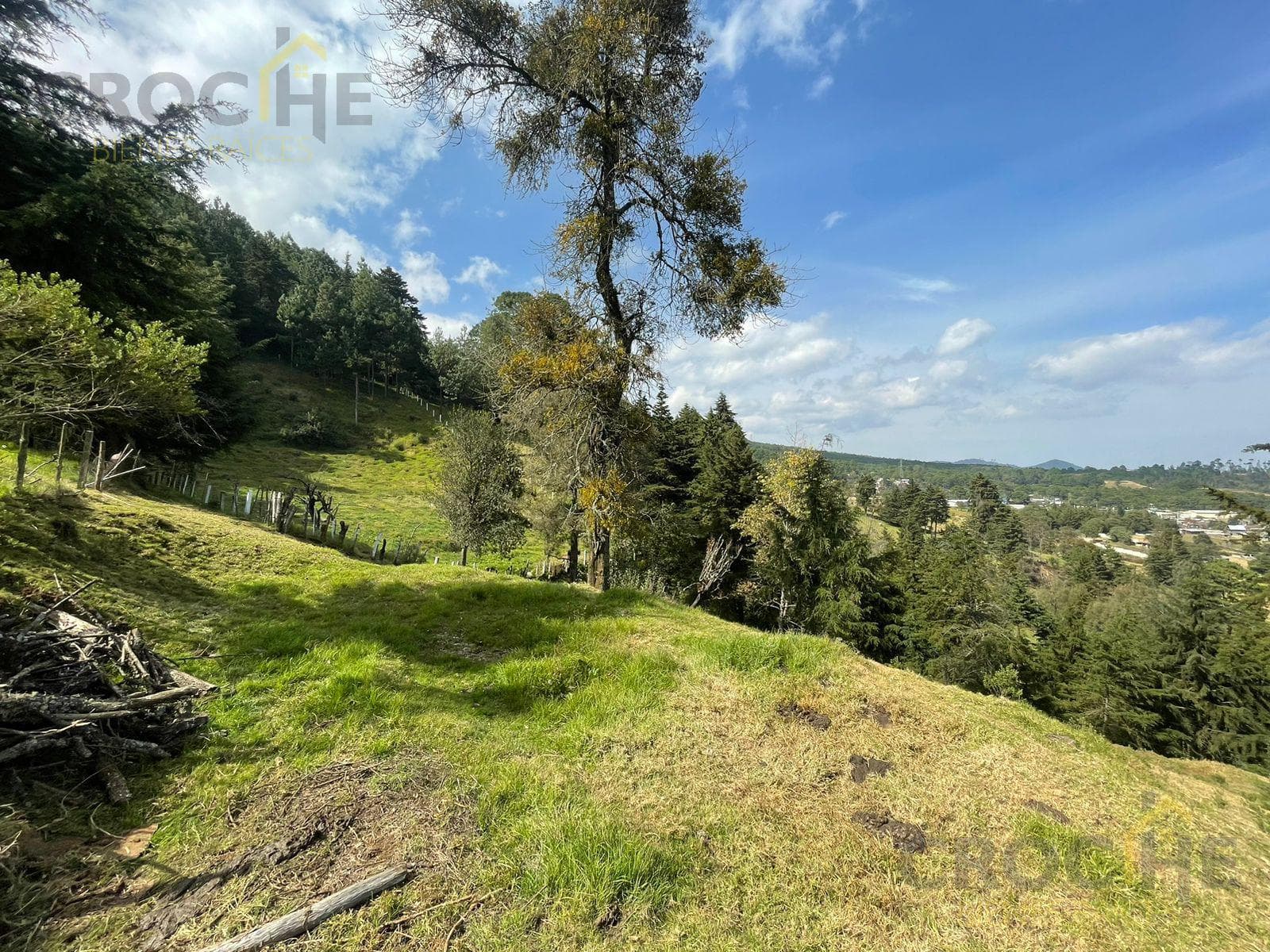 Land for Sale in the Municipality of Las Vigas, Toxtlacoaya Area