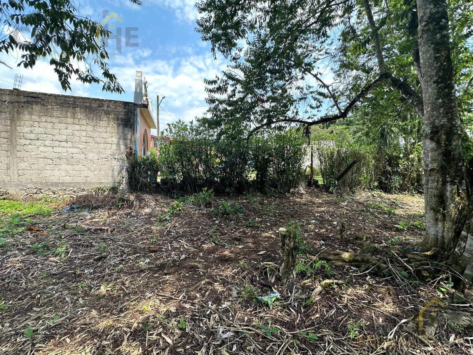 Land for sale in Coatepec, Los Carriles area