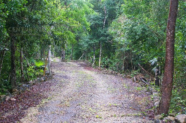 Excellent 1-hectare lot within the Riviera Maya gated community P2780