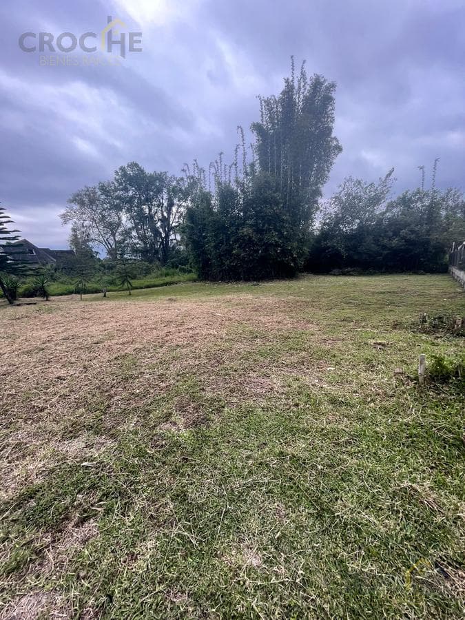 LAND LOT FOR SALE IN COATEPEC, RESIDENTIAL SUBDIVISION.