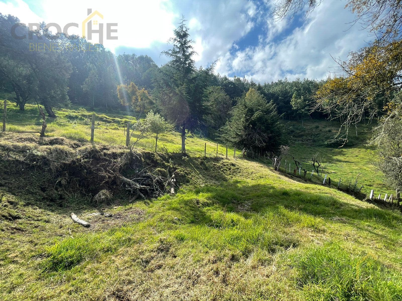 Land for Sale in the Municipality of Las Vigas, Toxtlacoaya Area