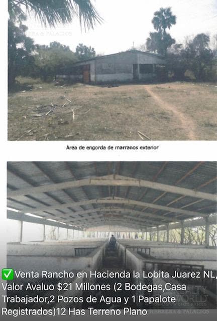 Land - Juárez