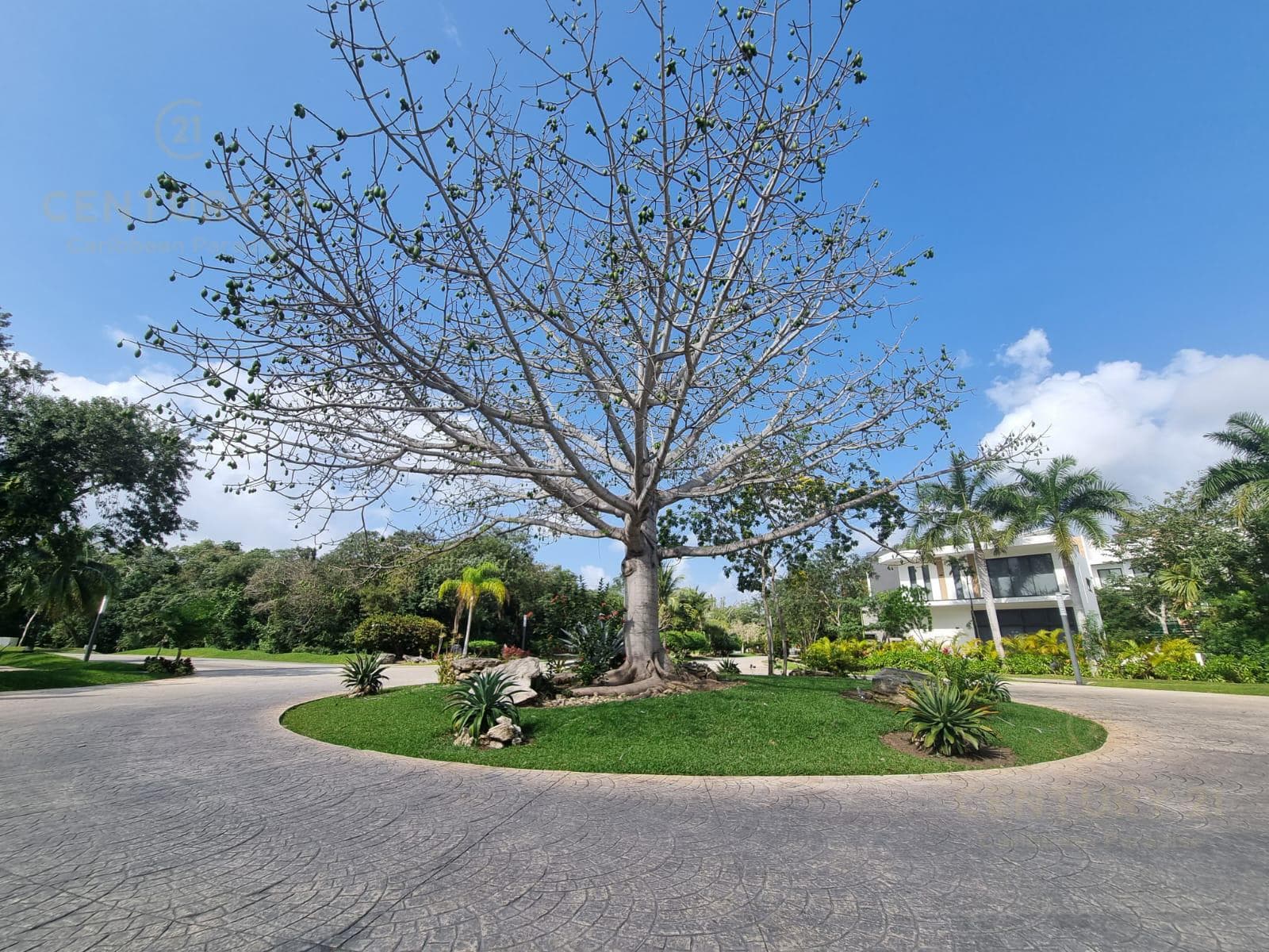 Furnished apartment for rent, SELVAMAR, Playa del Carmen P4138