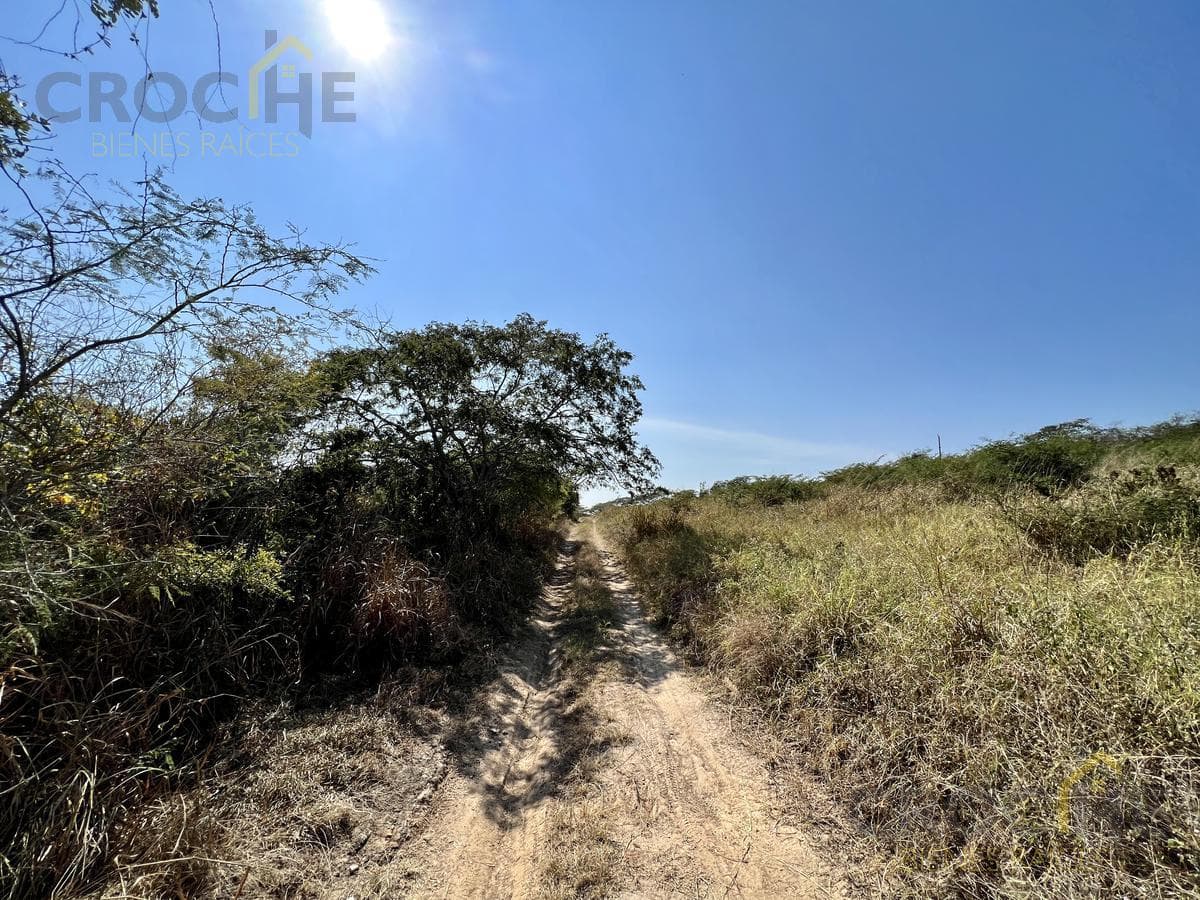 Land for sale in Nuevo Lencero, Emiliano Zapata, Veracruz.