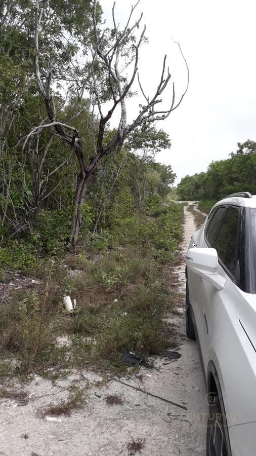 Commercial Lot for Sale in Bonfil, Access via Vía Cumbres C3152