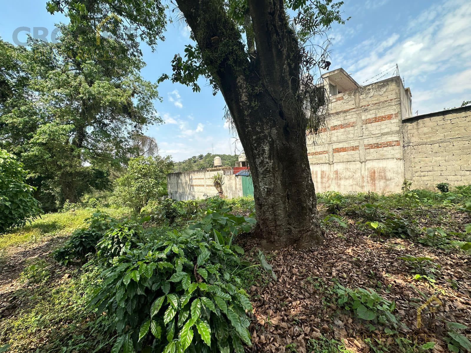 Land for sale in Coatepec, Los Carriles area