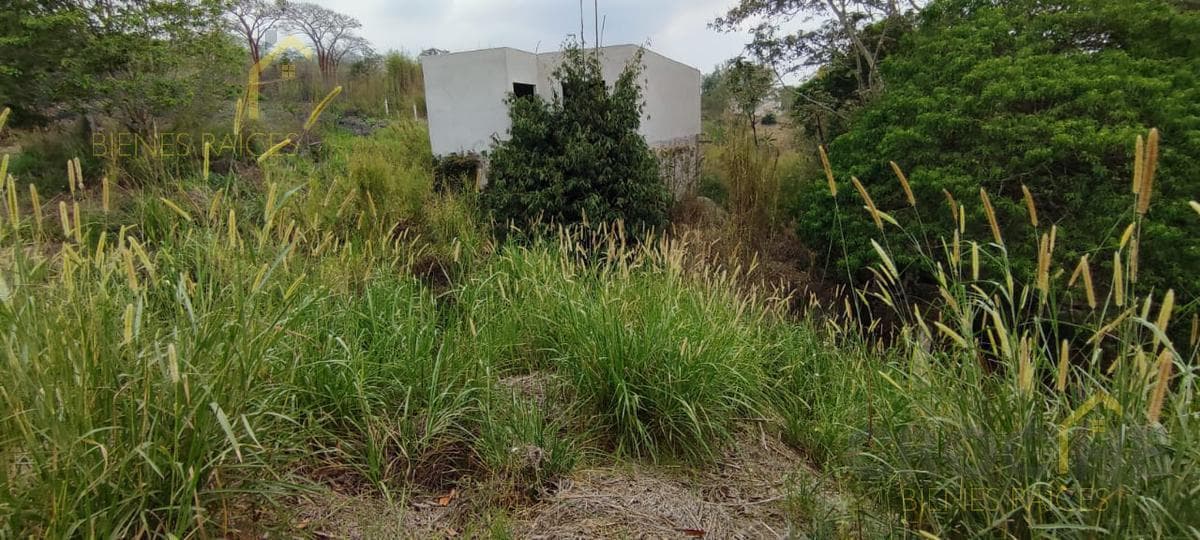 Land for Sale in Lencero—See the Bodegas Liverpool Area