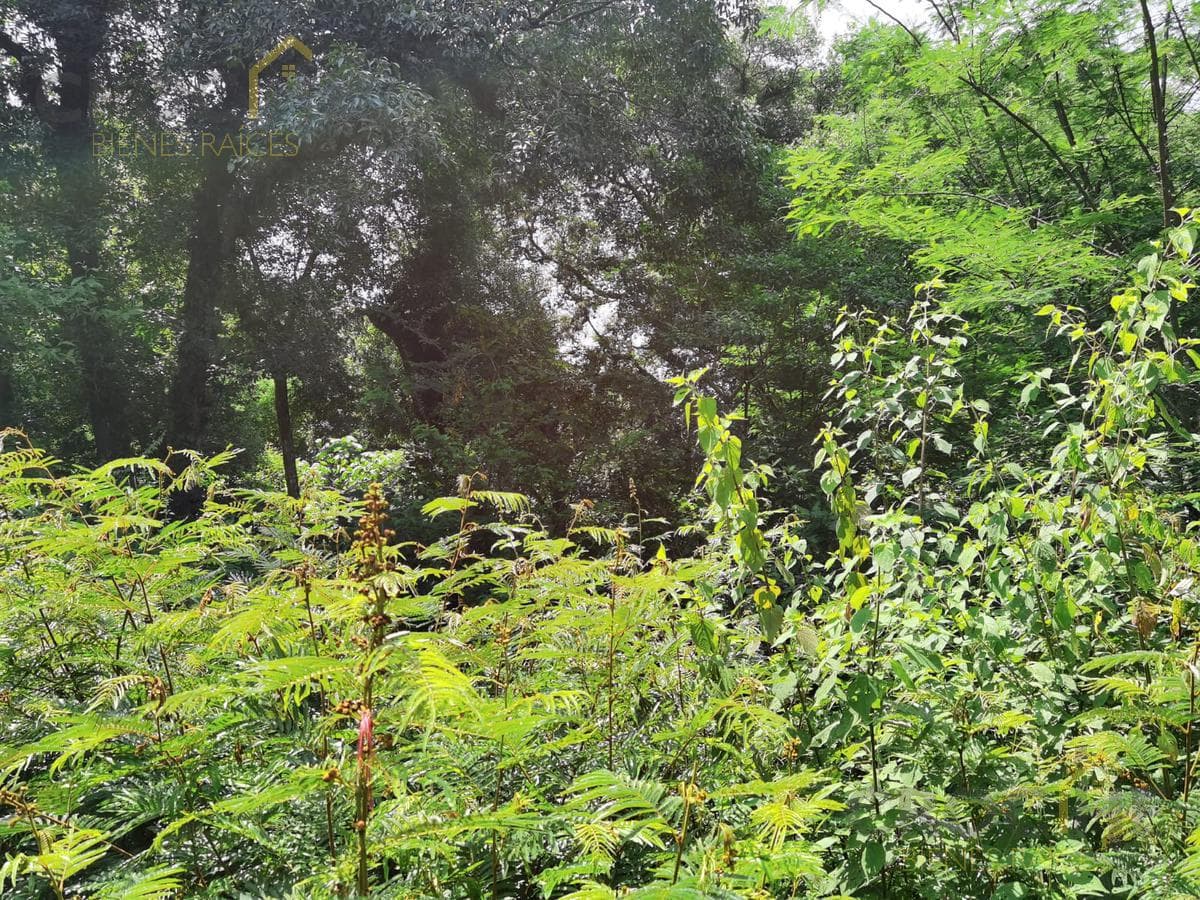 Land for sale in Coacoatintla, Veracruz, at KM 9, with stone quarrying operations