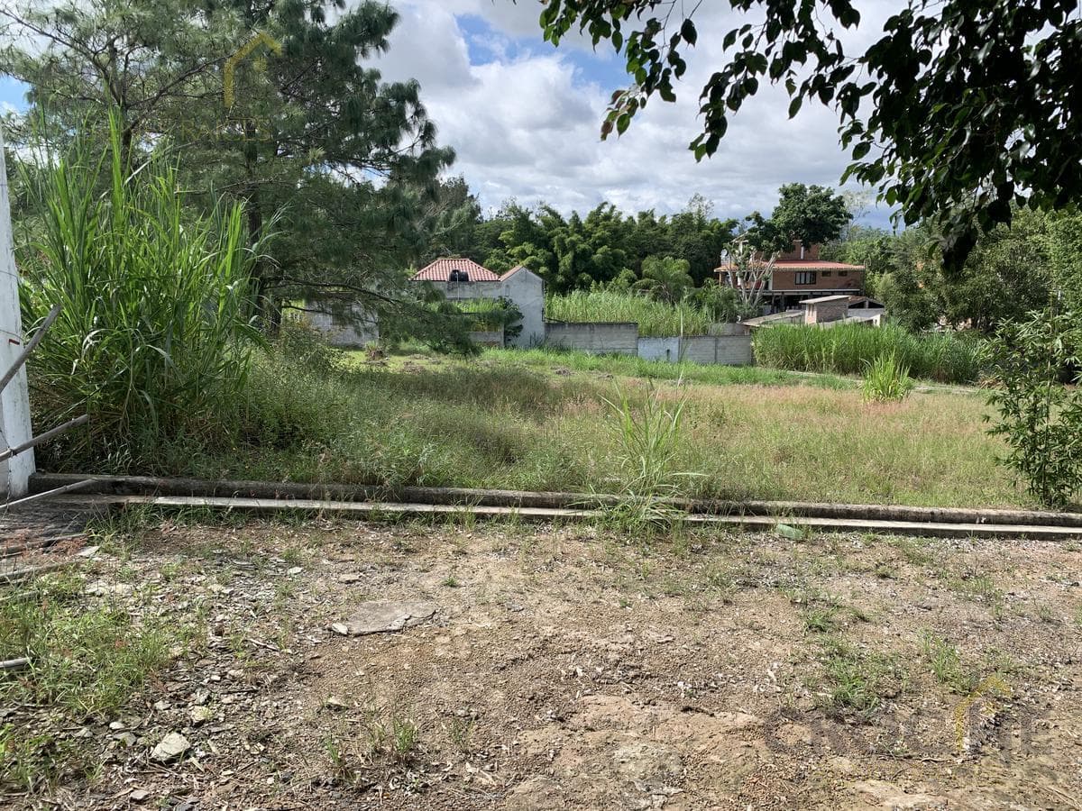 Land for Sale Near Xalapa, Veracruz—Tres Pasos Campestre Subdivision