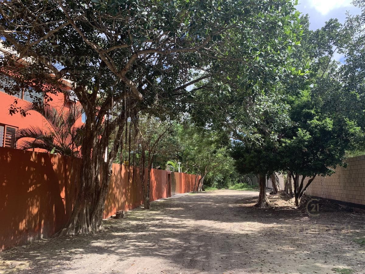 Residential Lot for Sale in Puerto Morelos | Spacious Lot Near the Mexican Caribbean | C3190
