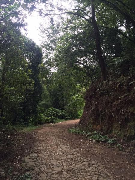 Land for sale in Xalapa, USBI area, Colonia Emiliano Zapata: 12,584 m²