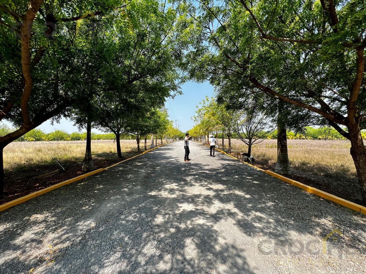Medellín, Veracruz: Land for Sale with a Pool