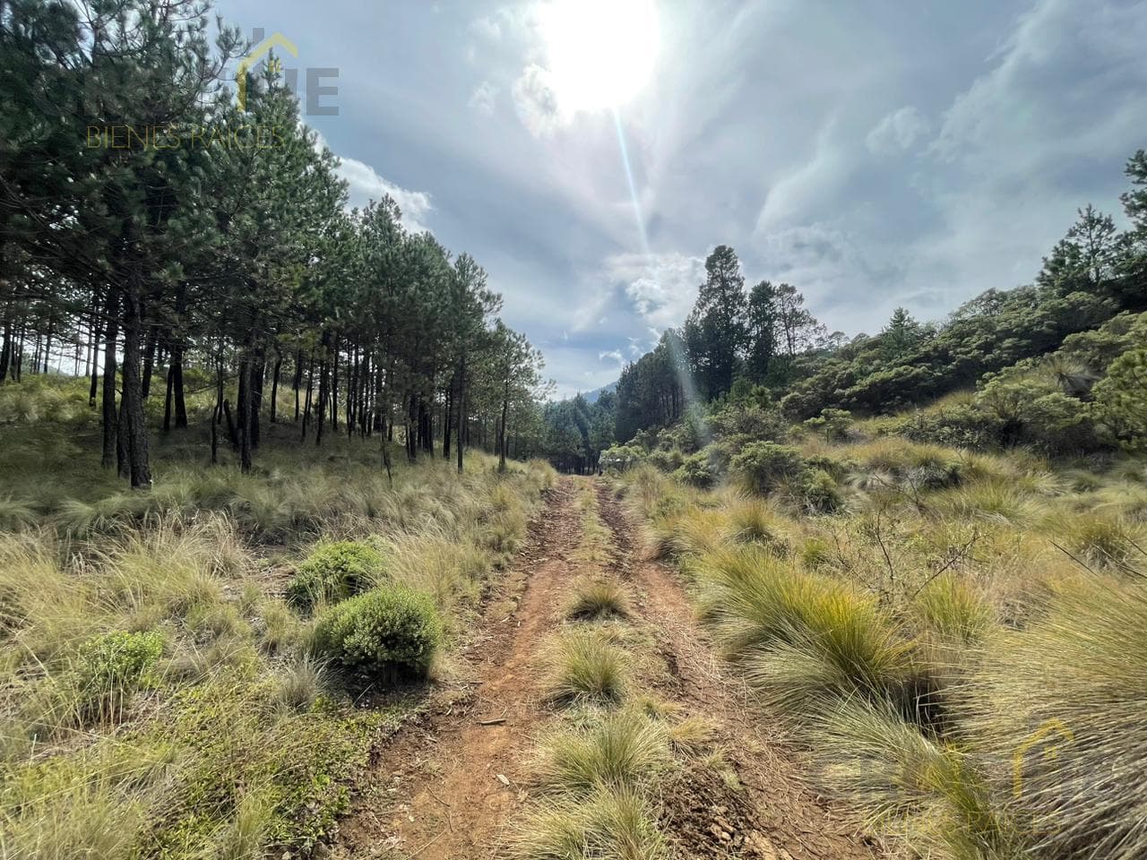 Land for sale in Las Vigas, Cerro Colorado area