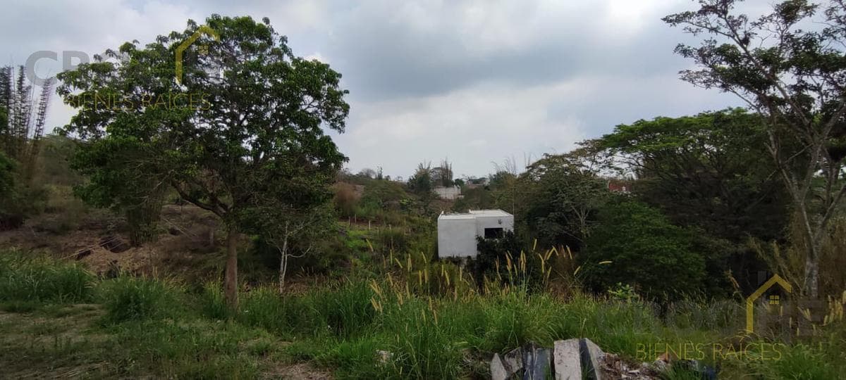 Land for Sale in Lencero—See the Bodegas Liverpool Area