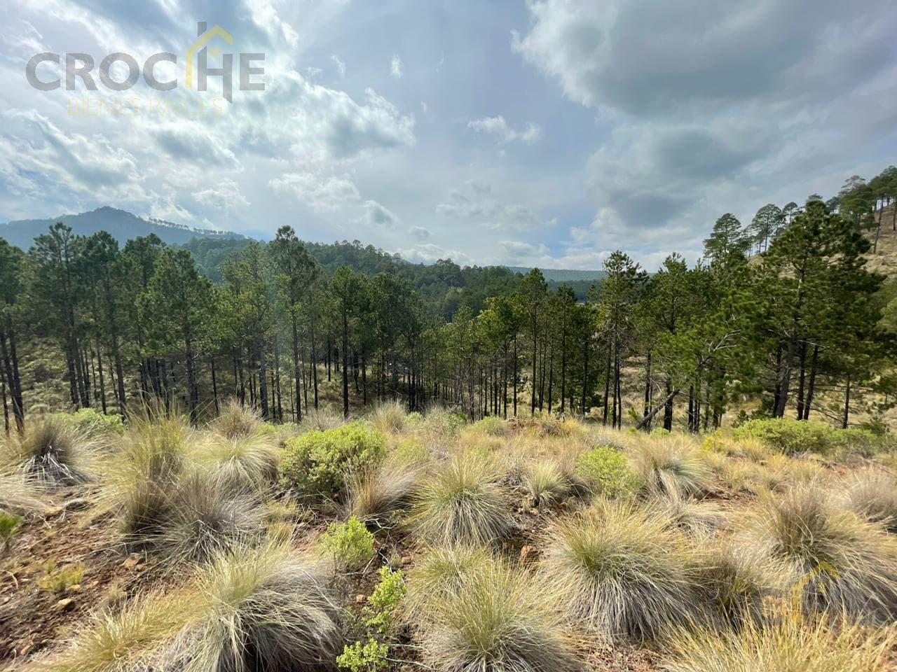Land for sale in Las Vigas, Cerro Colorado area