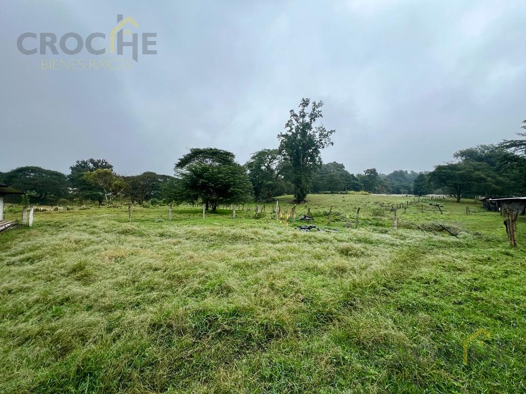 Land for sale in the Coatepec, Veracruz, city center area.