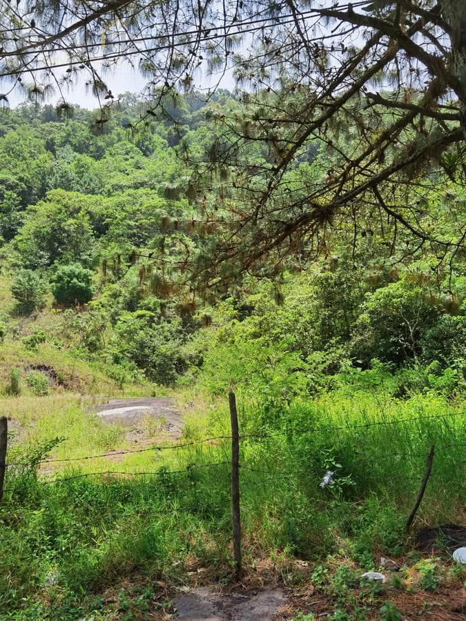 Land for sale in Coacoatzintla—Overlooking the highway with a gravel pit
