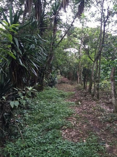 Land for sale in Xalapa, USBI area, Colonia Emiliano Zapata: 12,584 m²