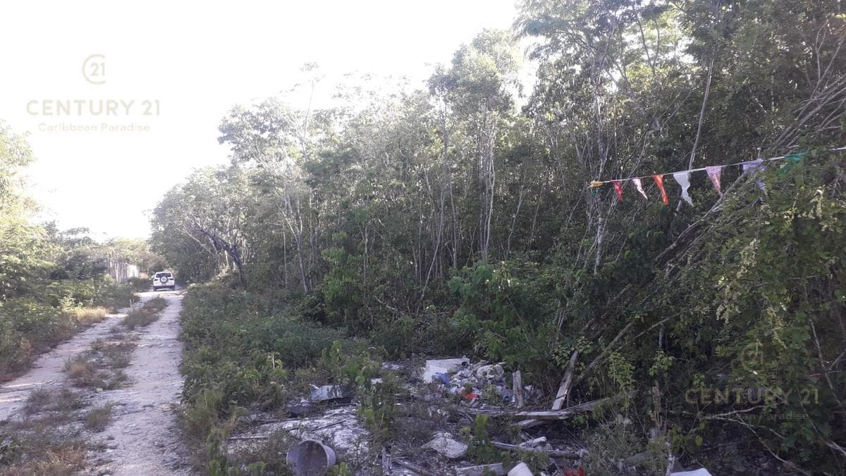 Commercial Lot for Sale in Bonfil, Access via Vía Cumbres C3152