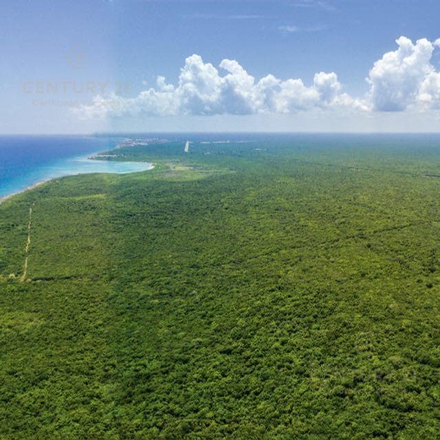 Oceanfront Hotel Lot for Sale in Playa del Carmen | High-End Tourism Project | P3758