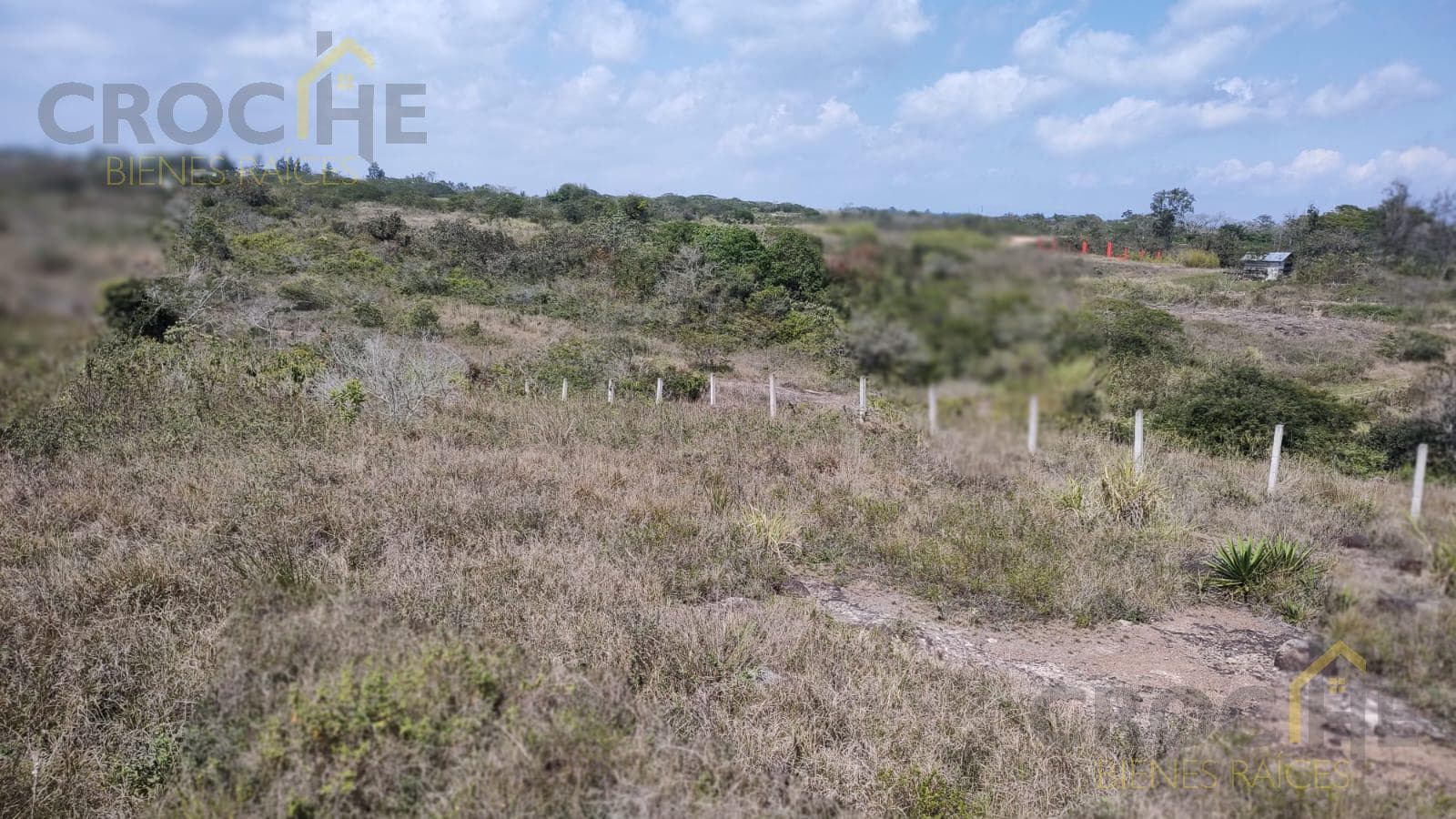 Land in Land for sale in El Chico, Emiliano Zapata municipality