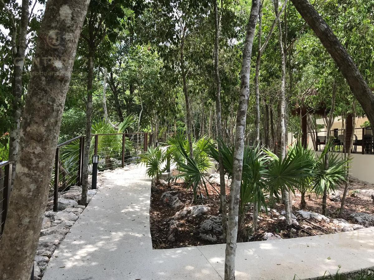 Hermosa Casa en Venta en Bosques de Bambú Playa del Carmen P3024