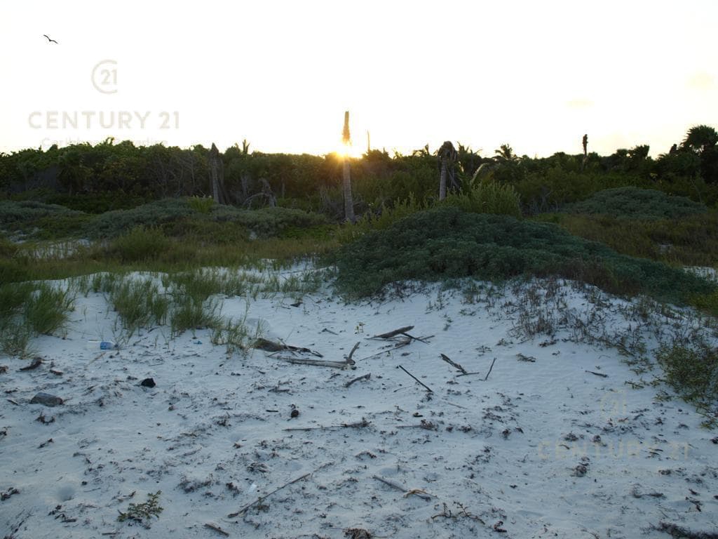 Oceanfront Residential Lot for Sale in Bocapaila | Ideal for Development | P1277
