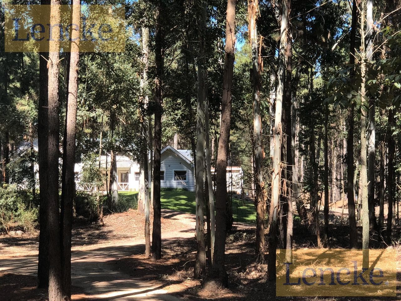 Farms for sale in El Pinar, near Carmelo; lots with excellent views; financing available