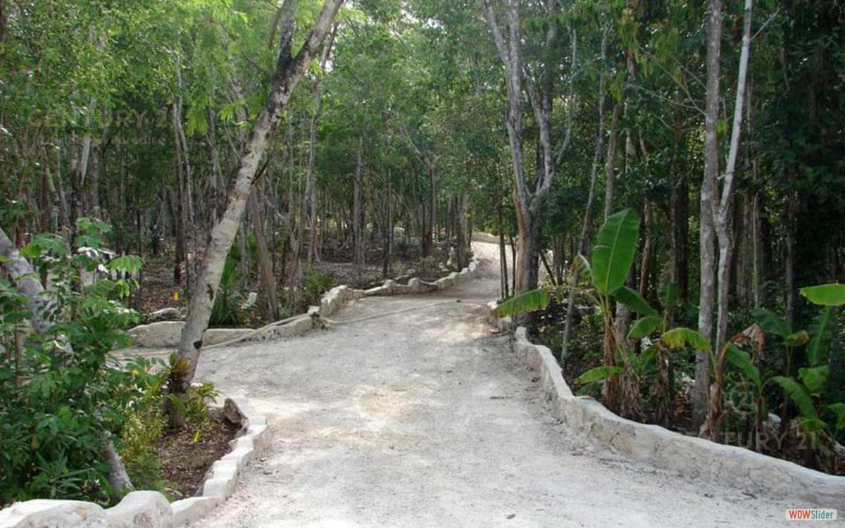 Excellent 1-hectare lot within the Riviera Maya gated community P2780