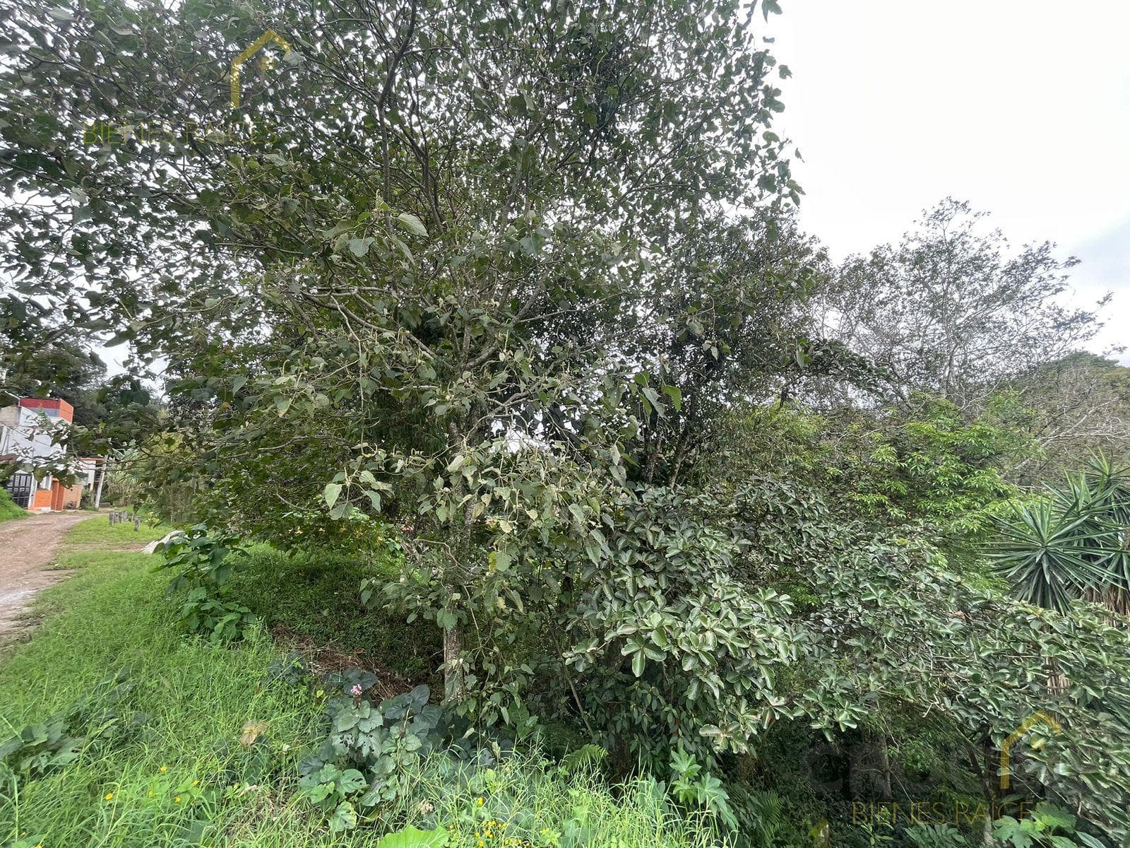 Land for sale in the Bella Vista neighborhood