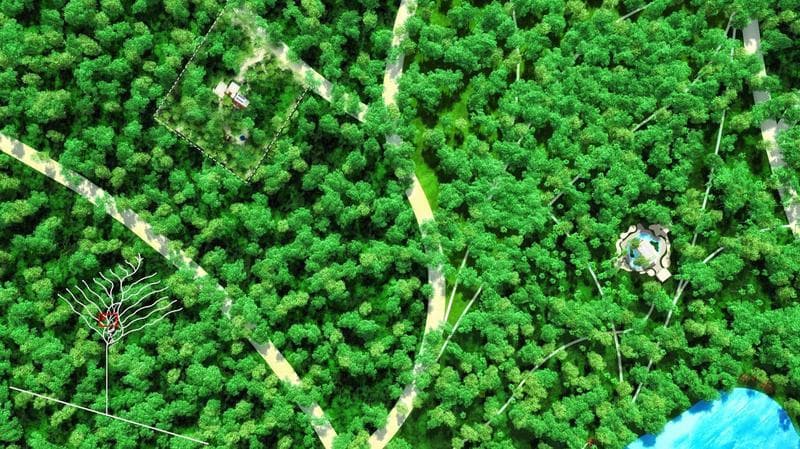 1 hectare lot in sustainable community Tulum P1969