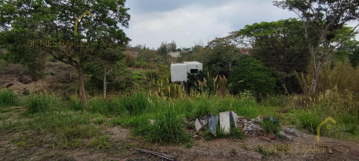 Land for Sale in Lencero—See the Bodegas Liverpool Area
