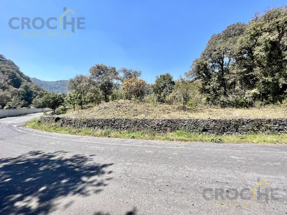 Land for Sale in Coacoatzintla, Veracruz—Property with Deed