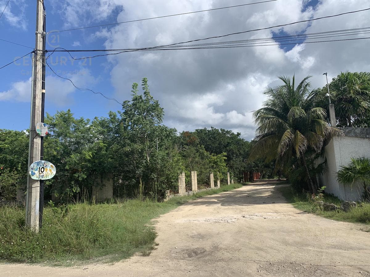 Residential Lot for Sale in Puerto Morelos | Spacious Lot Near the Mexican Caribbean | C3190