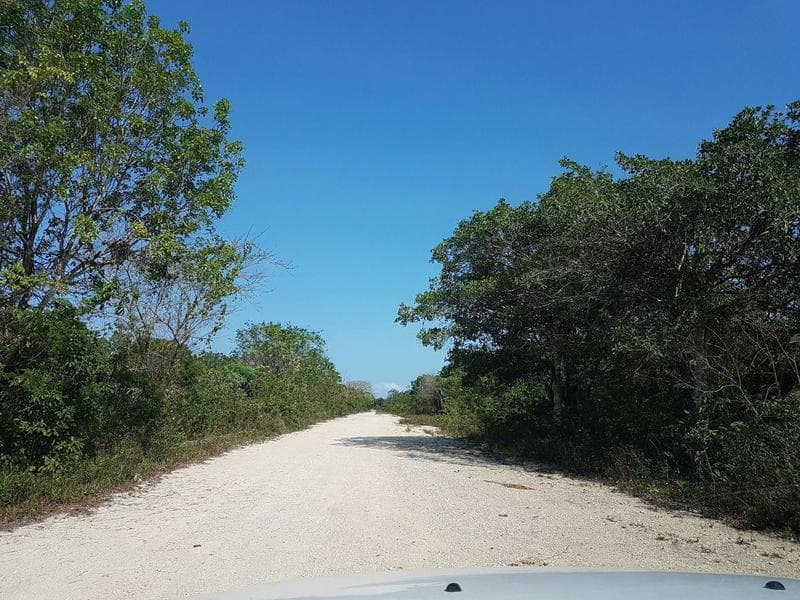Land for developers in an excellent location in Playa del Carmen P1893