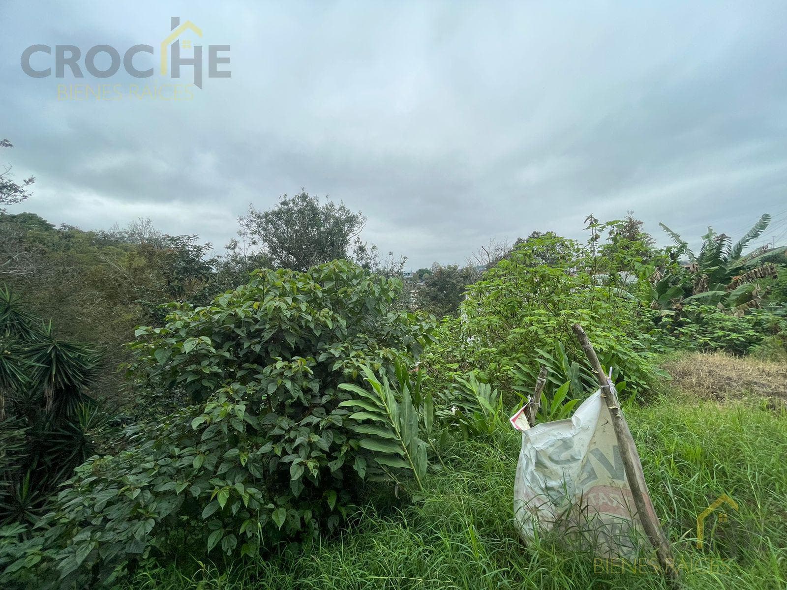 Land for sale in the Bella Vista neighborhood