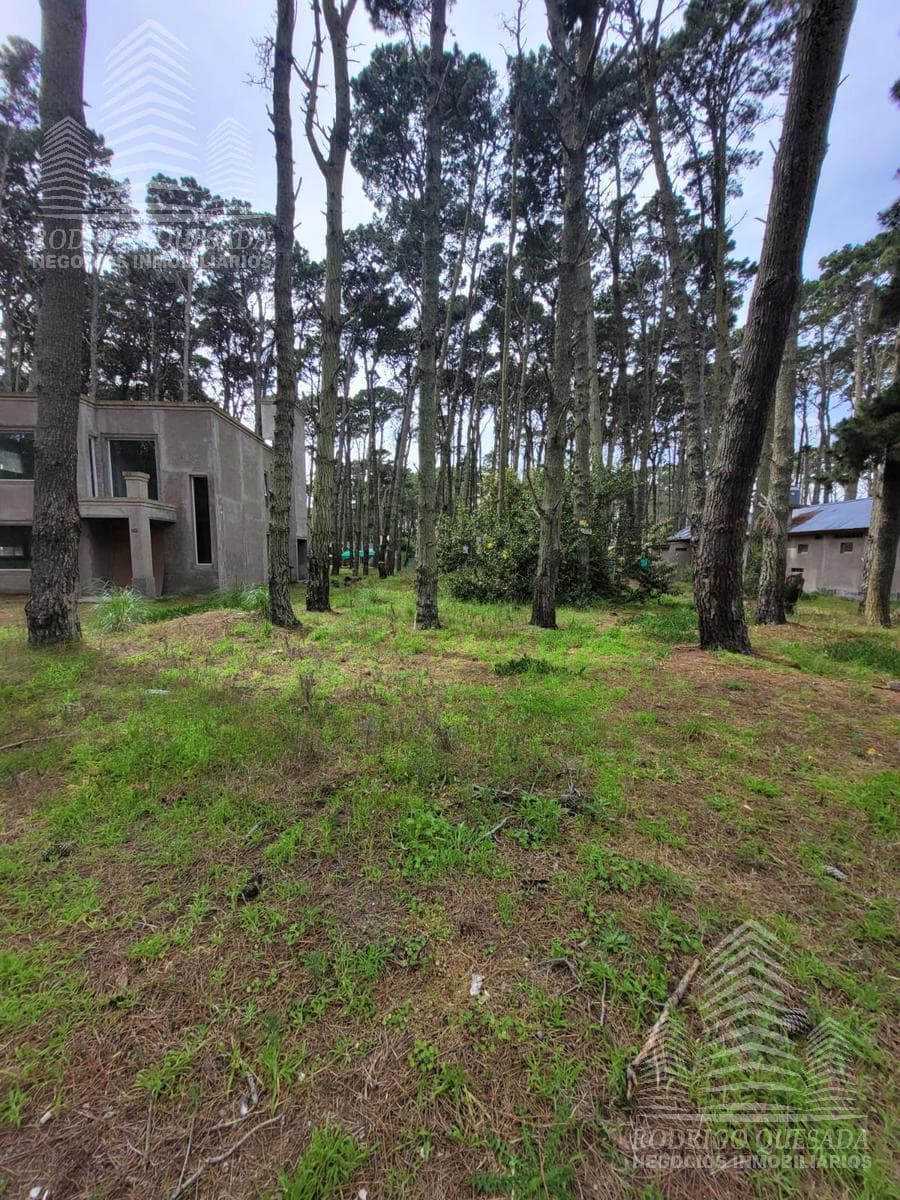 Beautiful Lot in Pinar de La Lucila!