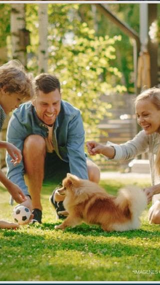Land for Sale in El Uro