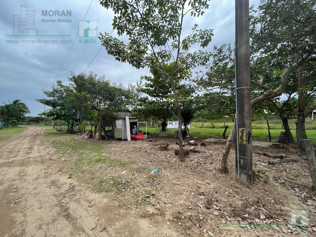 Corner lot in Las Barrillas, Municipality of Coatzacoalcos, Veracruz.
