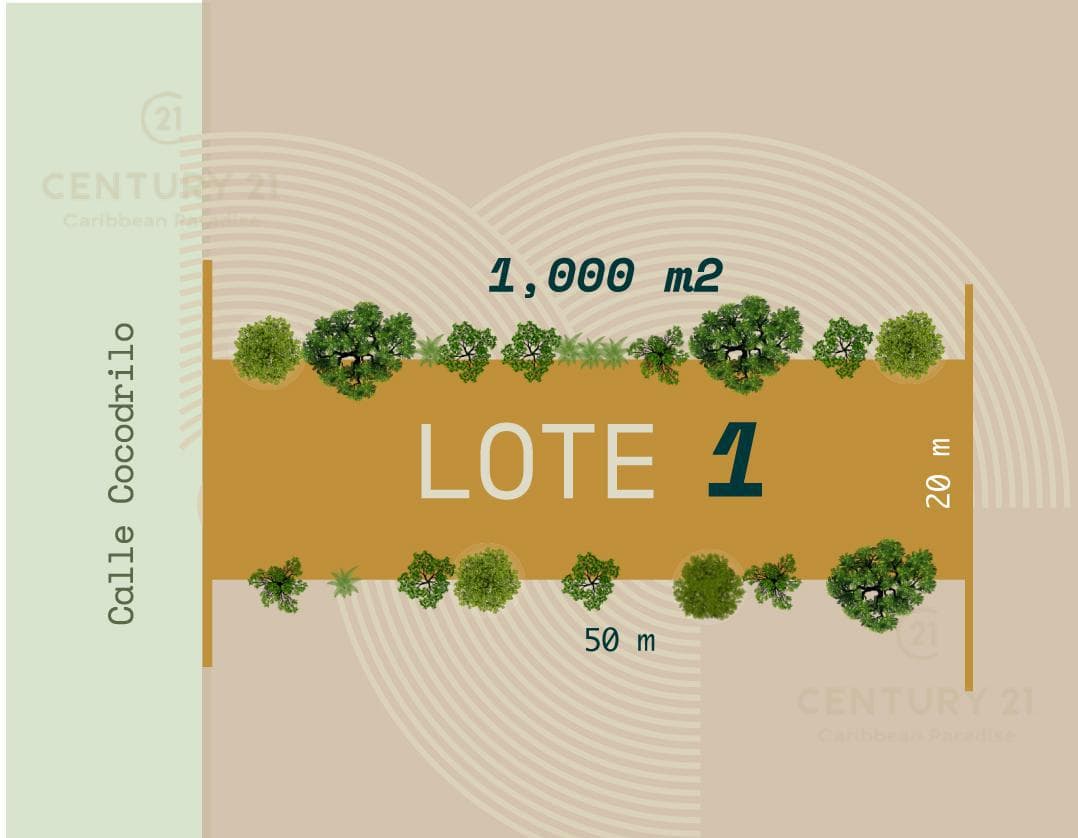 Beautiful Residential Lots for Sale in Francisco Uh May, 20 Minutes from Tulum P3998