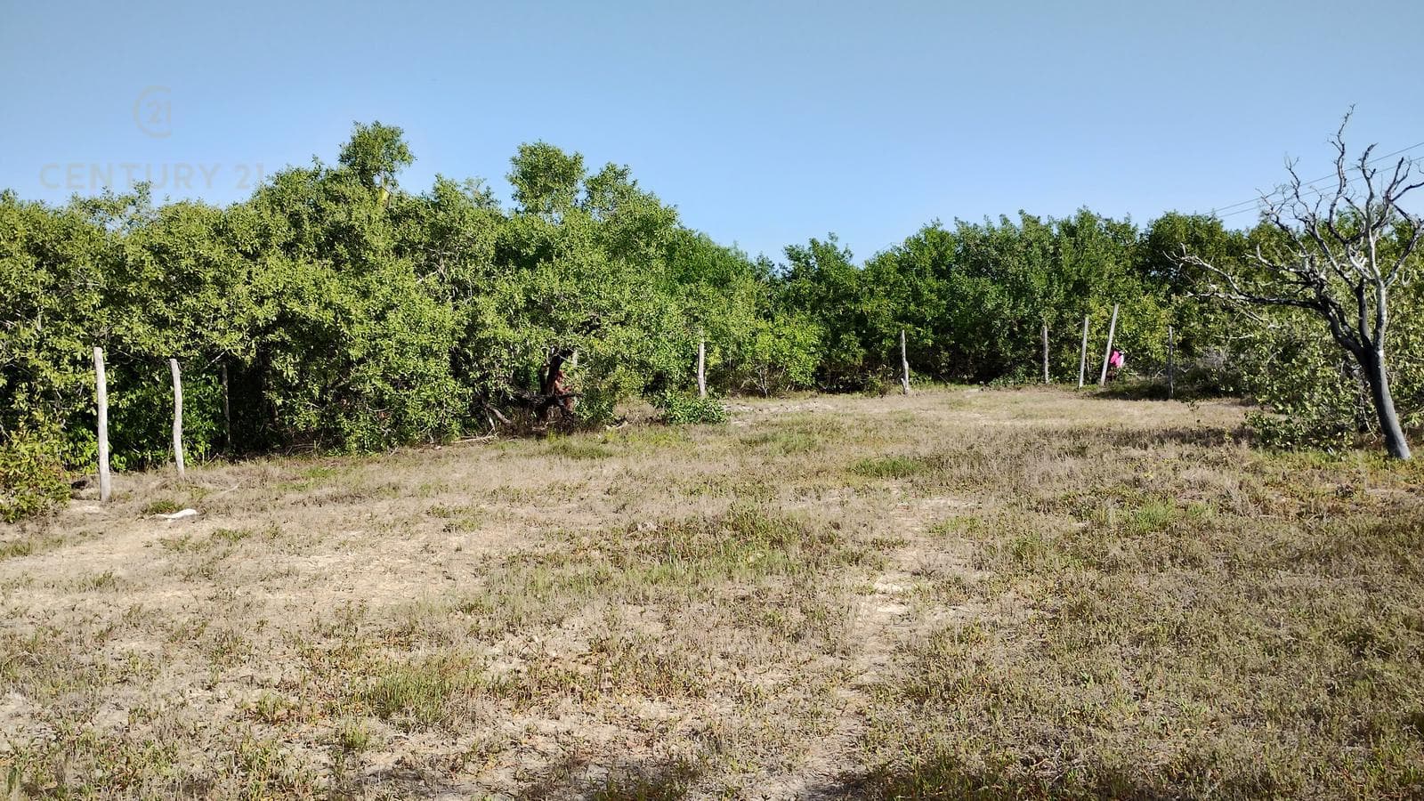 Commercial Lot for Sale in Holbox | Develop Eco-Luxury Villas in the Mexican Caribbean | P4068