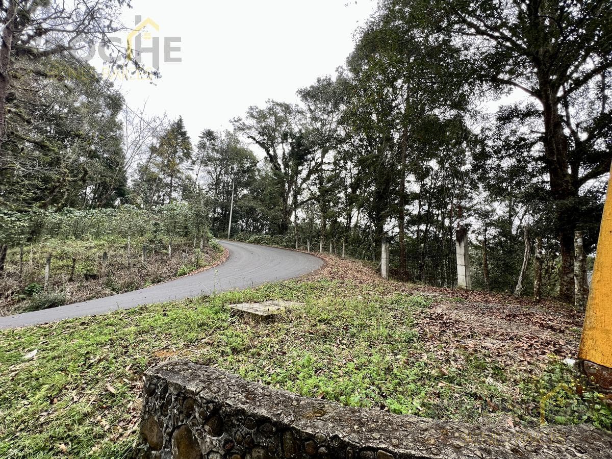 Ranch for sale in Rancho Viejo Xolostla, 10 minutes from Xalapa in the Coapexpan area.