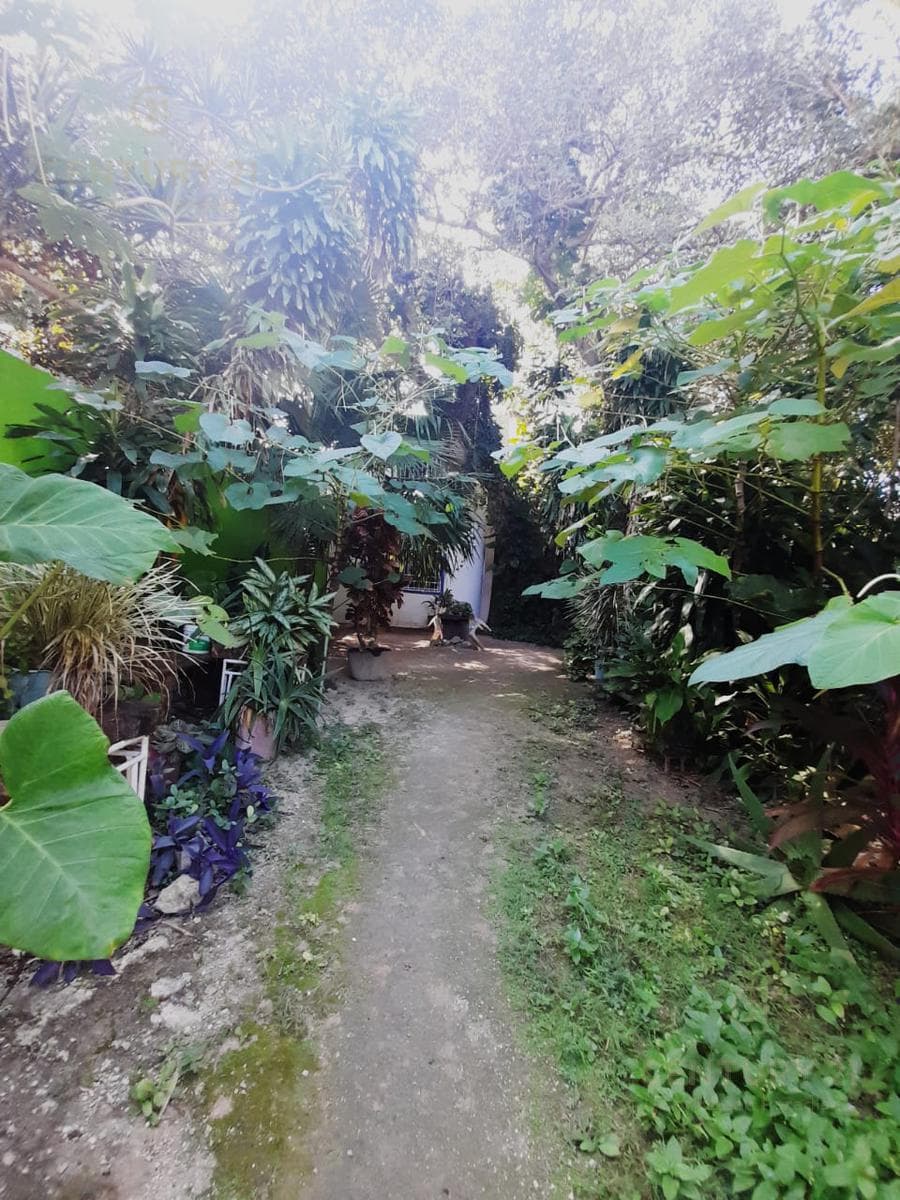 4-Bedroom House for Sale in Downtown Playa del Carmen | Ideal for Investment | P4101