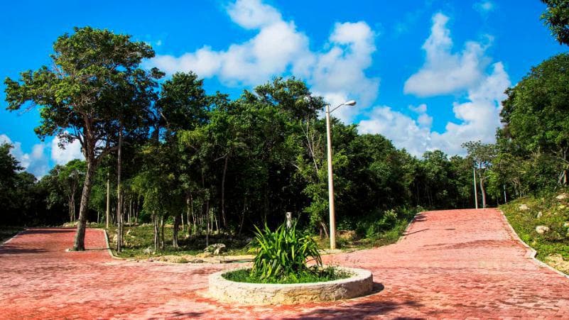 Residential Lot for Sale | Chemuyil, Tulum | Build Up to 3 Stories Near Xcacel | P2955