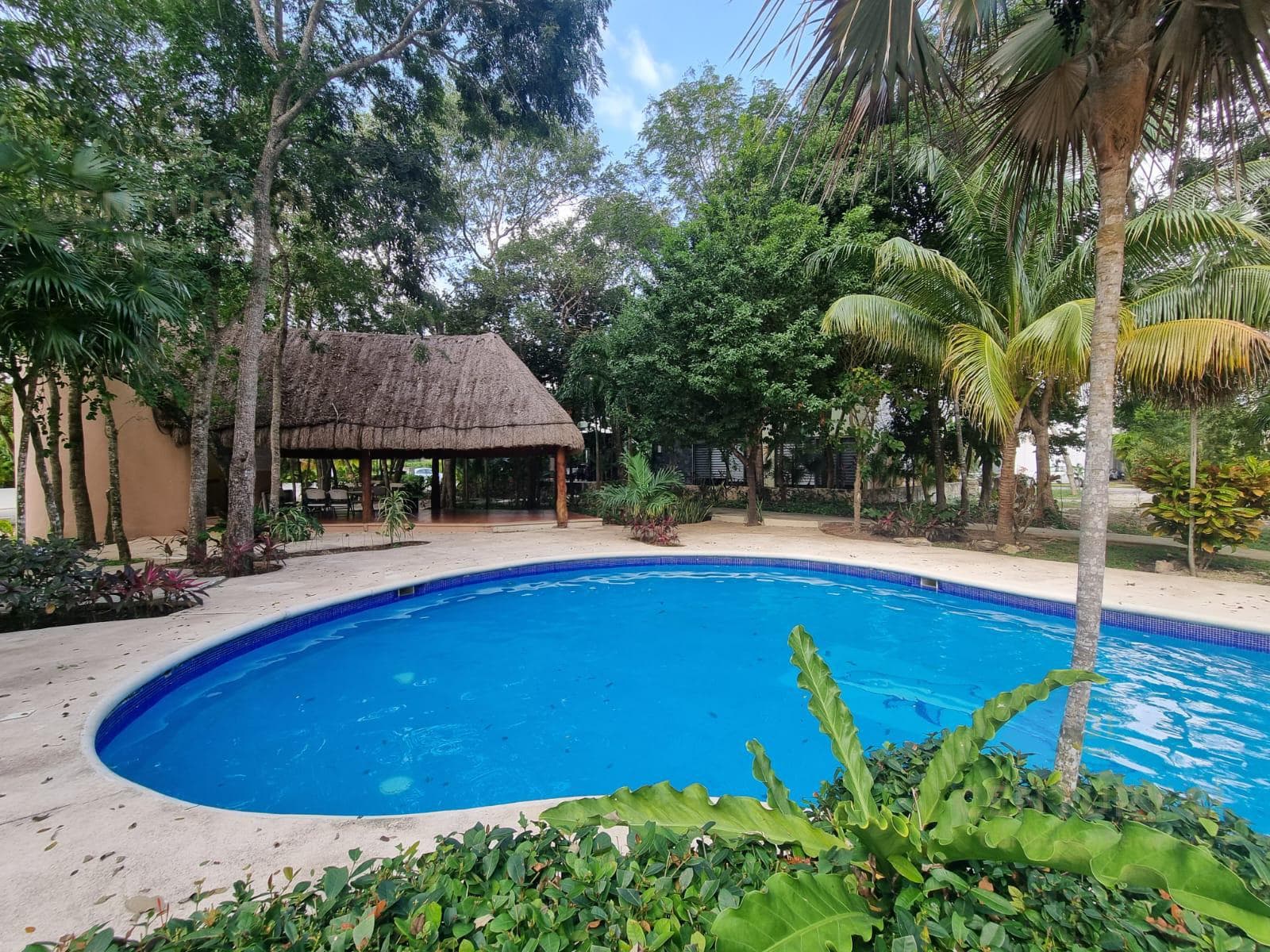 Furnished apartment for rent, SELVAMAR, Playa del Carmen P4138