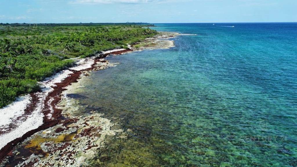 Oceanfront Lot for Sale in Playa del Carmen, 20 Hectares | P3754