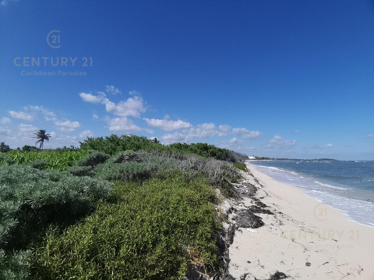 Oceanfront Lot for Sale in Mahahual with 20 Meters of Beachfront | P2699