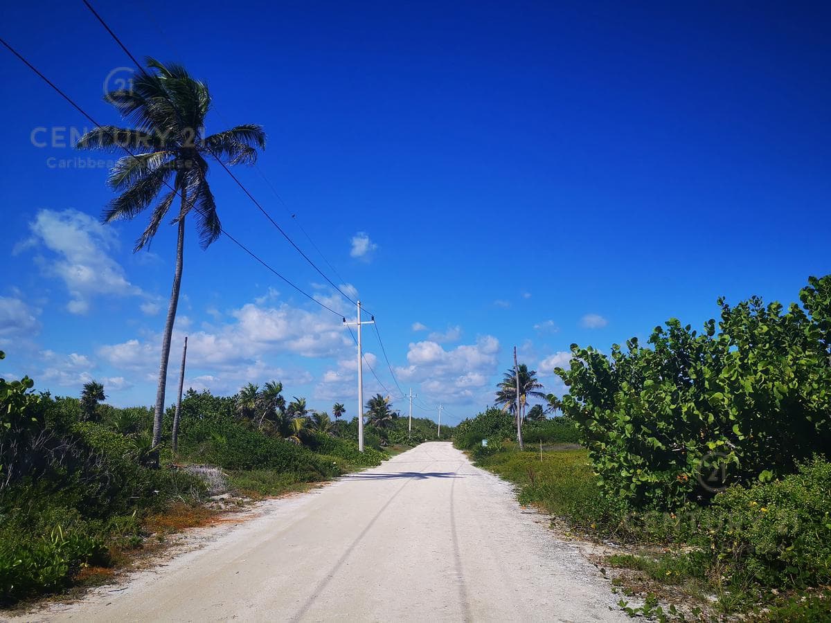Oceanfront Lot for Sale in Mahahual with 20 Meters of Beachfront | P2699